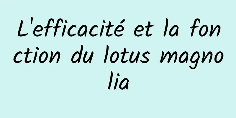 L'efficacité et la fonction du lotus magnolia