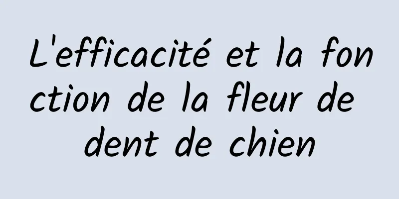 L'efficacité et la fonction de la fleur de dent de chien