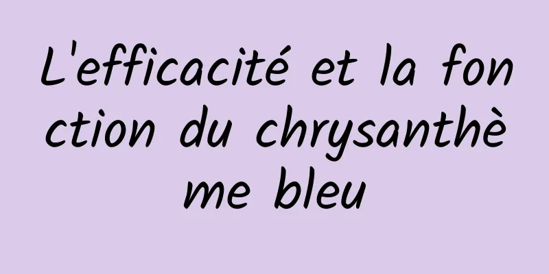 L'efficacité et la fonction du chrysanthème bleu