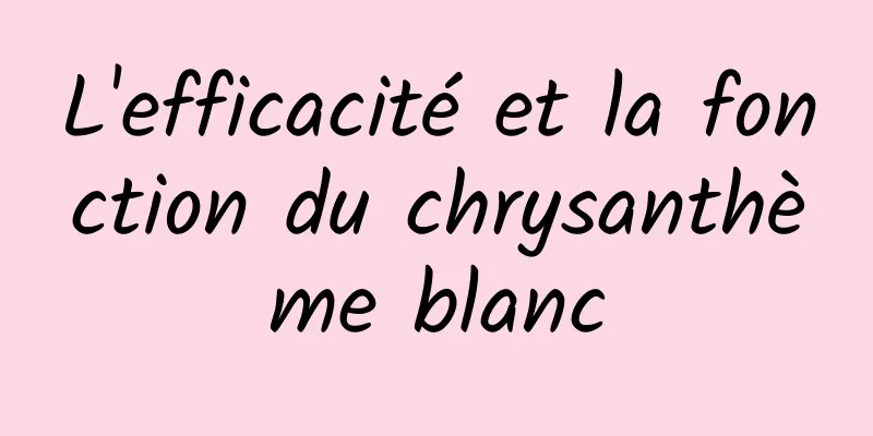 L'efficacité et la fonction du chrysanthème blanc