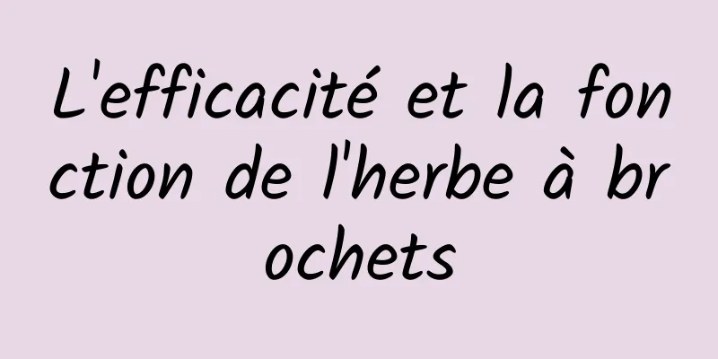 L'efficacité et la fonction de l'herbe à brochets