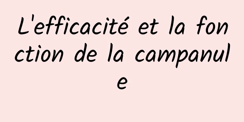 L'efficacité et la fonction de la campanule