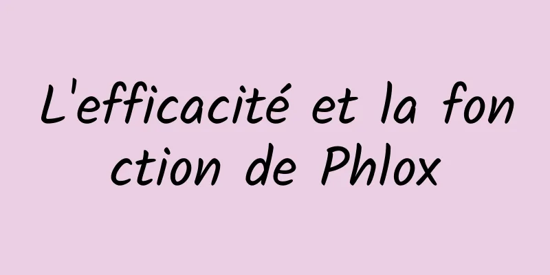 L'efficacité et la fonction de Phlox