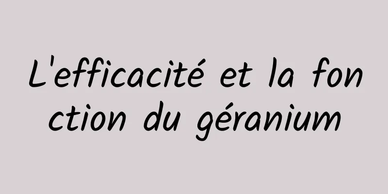 L'efficacité et la fonction du géranium