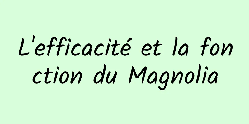 L'efficacité et la fonction du Magnolia