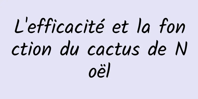 L'efficacité et la fonction du cactus de Noël