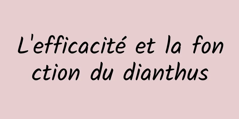 L'efficacité et la fonction du dianthus