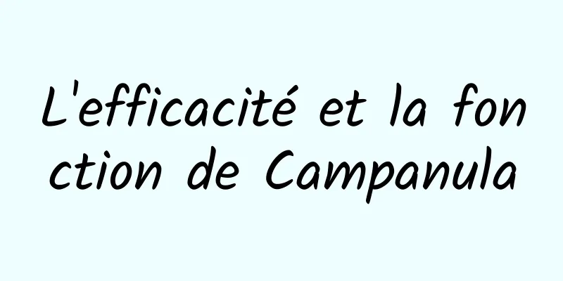 L'efficacité et la fonction de Campanula