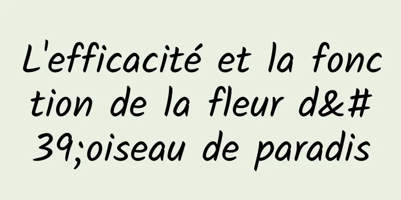 L'efficacité et la fonction de la fleur d'oiseau de paradis