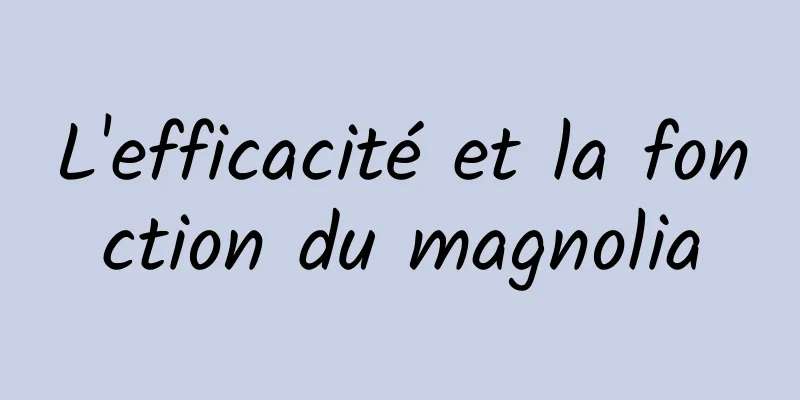 L'efficacité et la fonction du magnolia