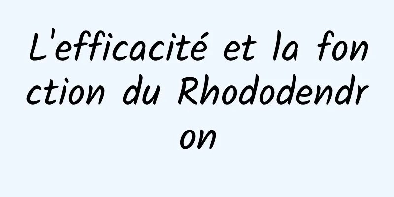 L'efficacité et la fonction du Rhododendron