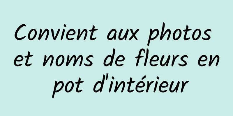 Convient aux photos et noms de fleurs en pot d'intérieur