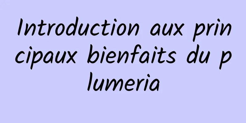 Introduction aux principaux bienfaits du plumeria