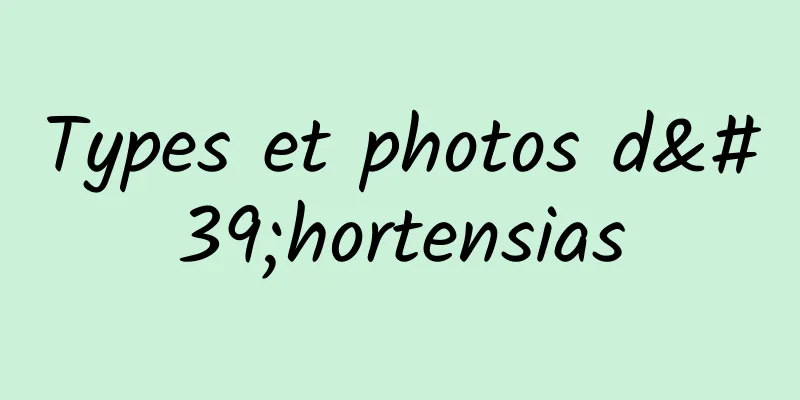 Types et photos d'hortensias