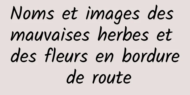 Noms et images des mauvaises herbes et des fleurs en bordure de route