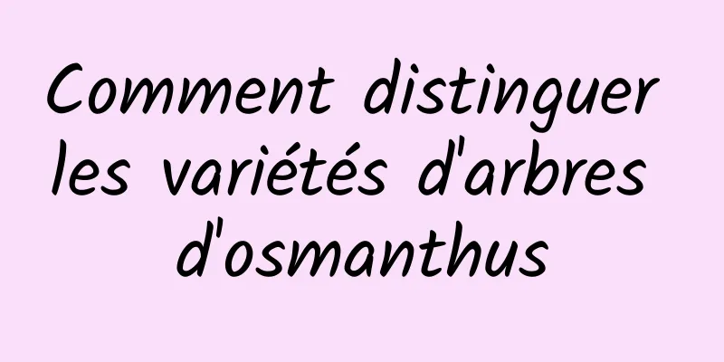 Comment distinguer les variétés d'arbres d'osmanthus