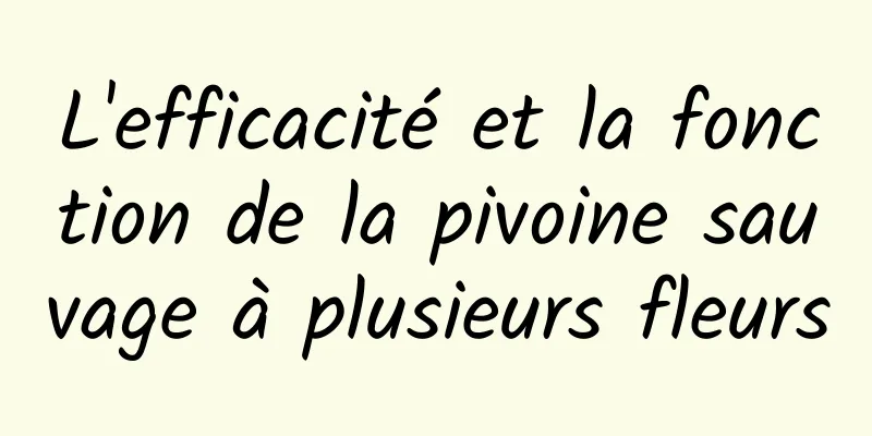 L'efficacité et la fonction de la pivoine sauvage à plusieurs fleurs