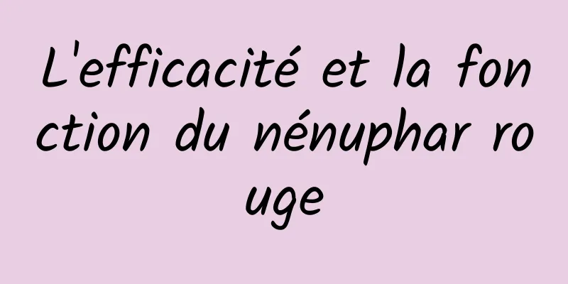 L'efficacité et la fonction du nénuphar rouge