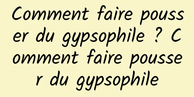 Comment faire pousser du gypsophile ? Comment faire pousser du gypsophile