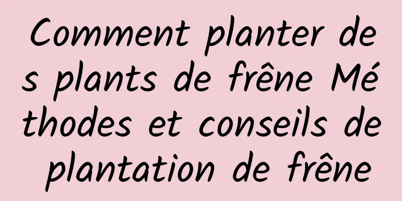 Comment planter des plants de frêne Méthodes et conseils de plantation de frêne