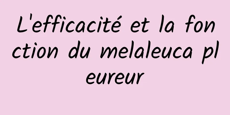 L'efficacité et la fonction du melaleuca pleureur