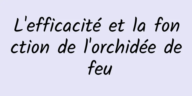 L'efficacité et la fonction de l'orchidée de feu