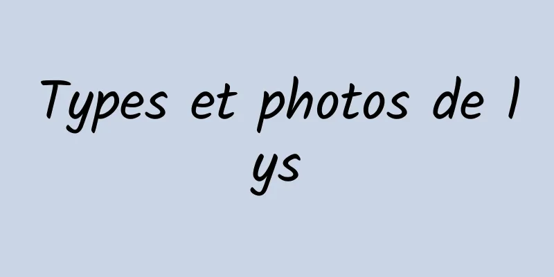 Types et photos de lys