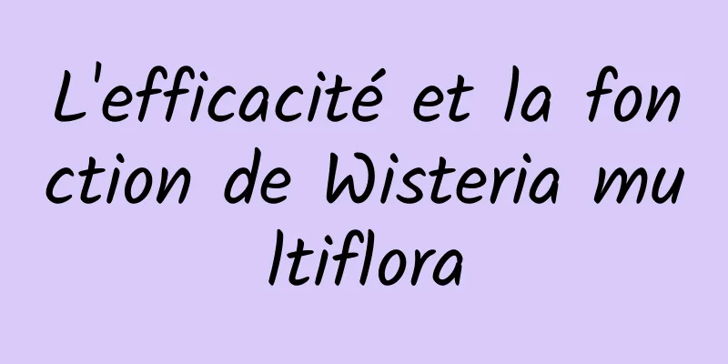 L'efficacité et la fonction de Wisteria multiflora