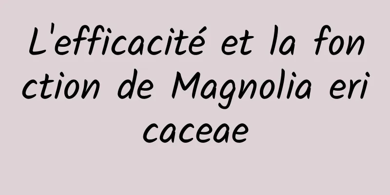 L'efficacité et la fonction de Magnolia ericaceae