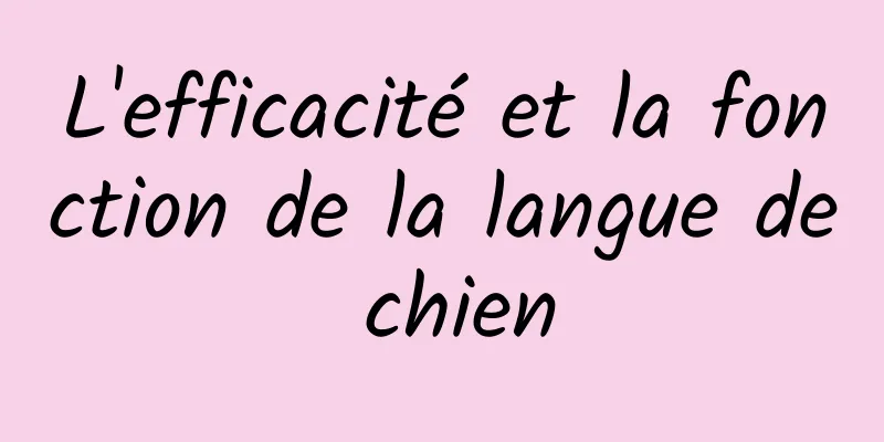 L'efficacité et la fonction de la langue de chien