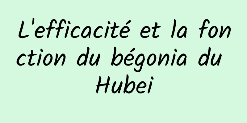 L'efficacité et la fonction du bégonia du Hubei