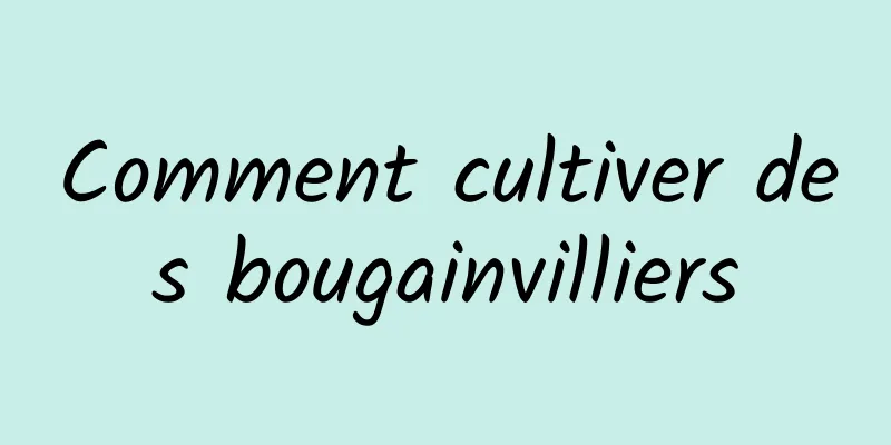 Comment cultiver des bougainvilliers