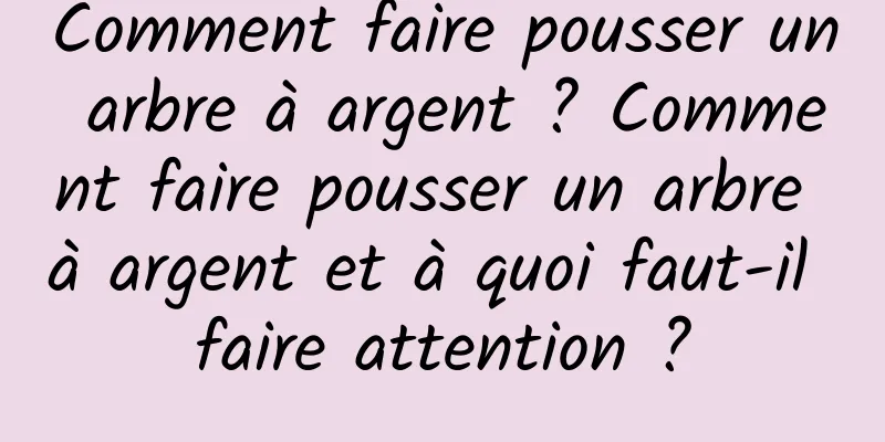 Comment faire pousser un arbre à argent ? Comment faire pousser un arbre à argent et à quoi faut-il faire attention ?