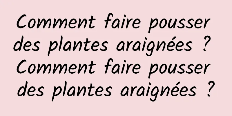 Comment faire pousser des plantes araignées ? Comment faire pousser des plantes araignées ?