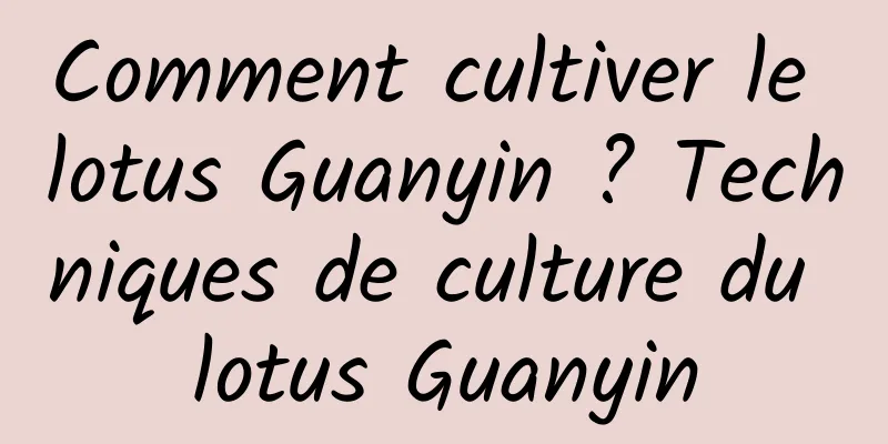 Comment cultiver le lotus Guanyin ? Techniques de culture du lotus Guanyin