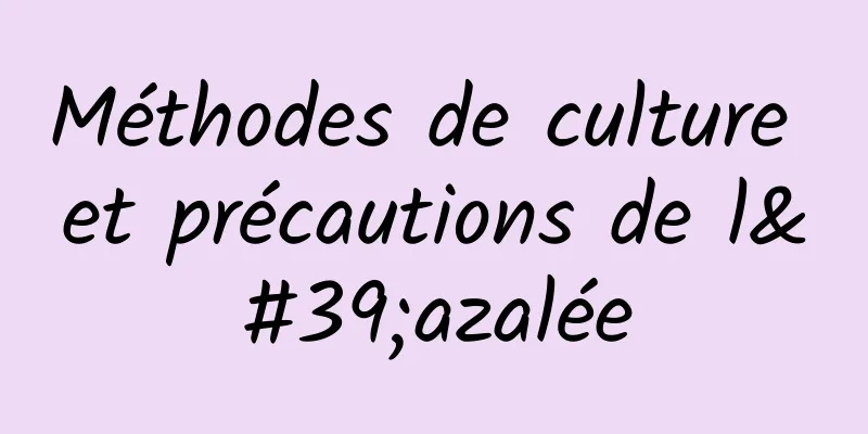 Méthodes de culture et précautions de l'azalée