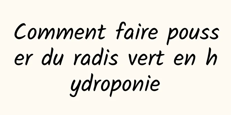 Comment faire pousser du radis vert en hydroponie