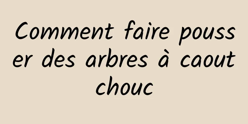 Comment faire pousser des arbres à caoutchouc