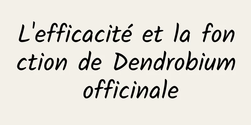 L'efficacité et la fonction de Dendrobium officinale