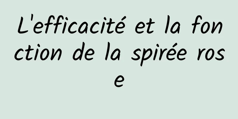 L'efficacité et la fonction de la spirée rose