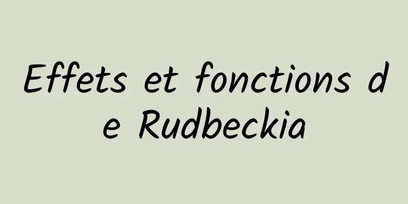 Effets et fonctions de Rudbeckia