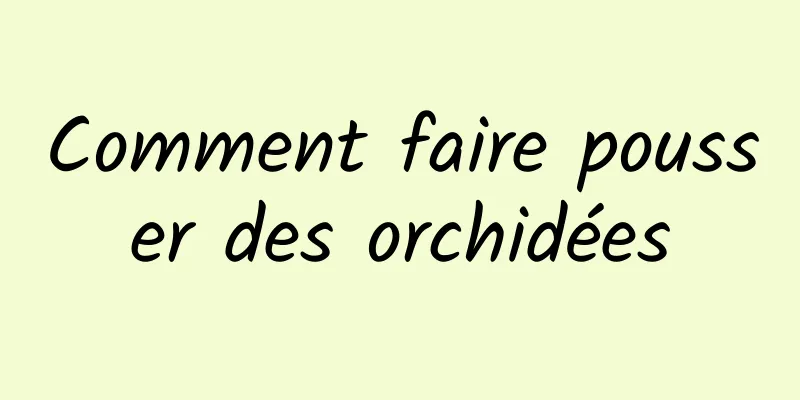 Comment faire pousser des orchidées