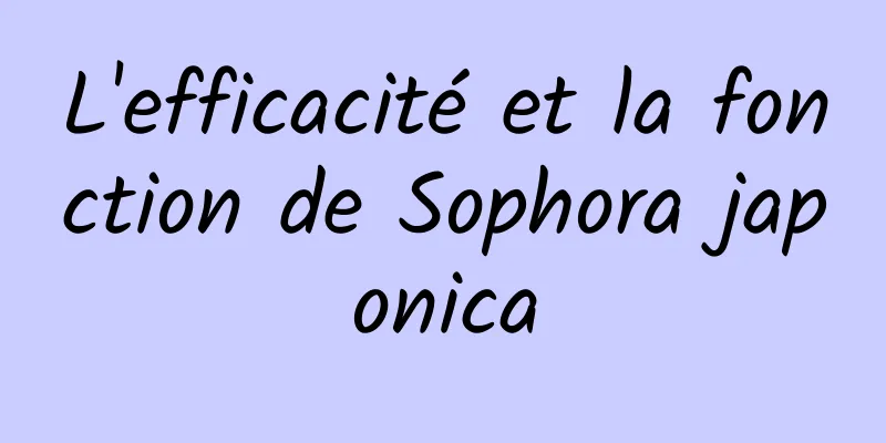 L'efficacité et la fonction de Sophora japonica