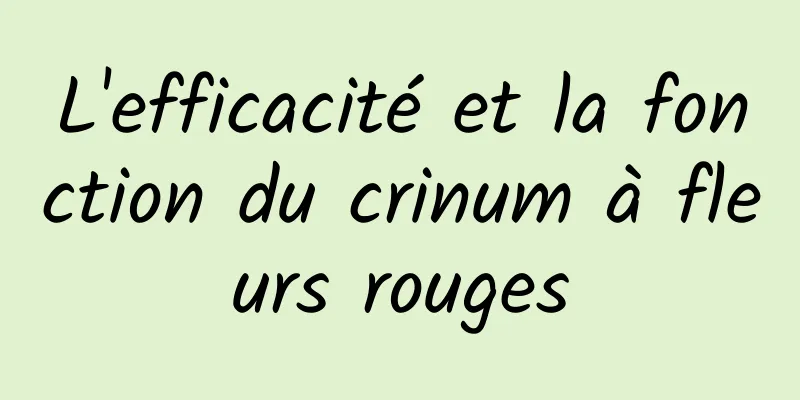 L'efficacité et la fonction du crinum à fleurs rouges