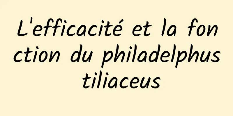 L'efficacité et la fonction du philadelphus tiliaceus