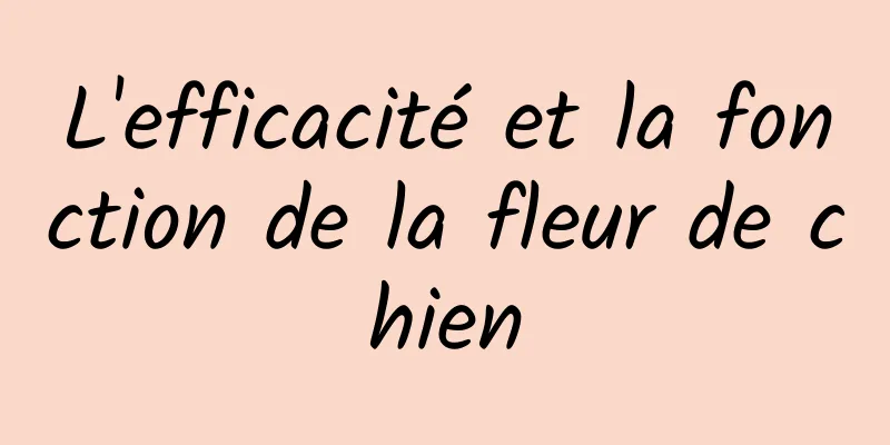 L'efficacité et la fonction de la fleur de chien