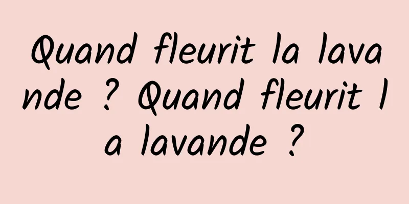 Quand fleurit la lavande ? Quand fleurit la lavande ?