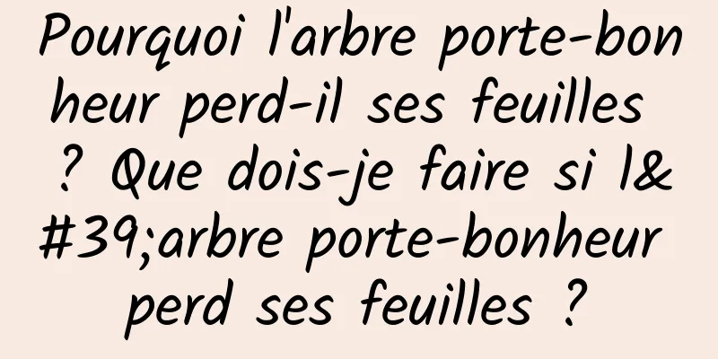 Pourquoi l'arbre porte-bonheur perd-il ses feuilles ? Que dois-je faire si l'arbre porte-bonheur perd ses feuilles ?