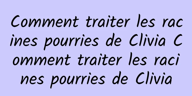 Comment traiter les racines pourries de Clivia Comment traiter les racines pourries de Clivia