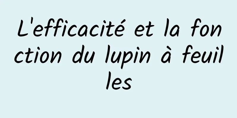 L'efficacité et la fonction du lupin à feuilles